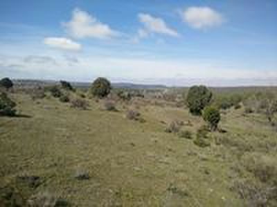 Muy buenas desde CAMPO DE TIRO EL RESORTE 

Es un placer presentarles el espectacular campo de tiro El 72