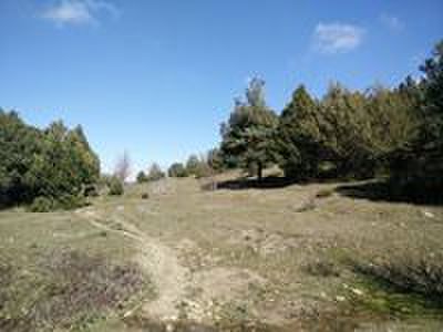 Muy buenas desde CAMPO DE TIRO EL RESORTE 

Es un placer presentarles el espectacular campo de tiro El 71