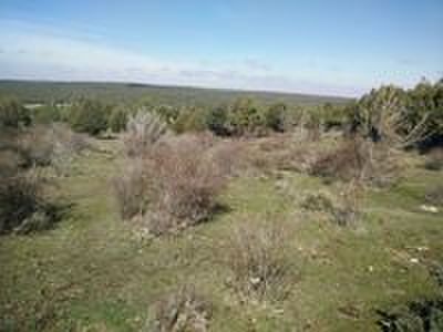 Muy buenas desde CAMPO DE TIRO EL RESORTE 

Es un placer presentarles el espectacular campo de tiro El 82
