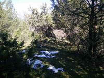 Muy buenas desde CAMPO DE TIRO EL RESORTE 

Es un placer presentarles el espectacular campo de tiro El 81