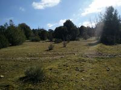 Muy buenas desde CAMPO DE TIRO EL RESORTE 

Es un placer presentarles el espectacular campo de tiro El 80