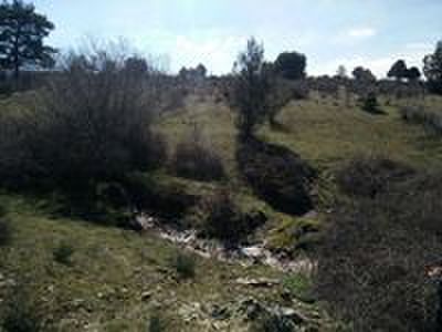 Muy buenas desde CAMPO DE TIRO EL RESORTE 

Es un placer presentarles el espectacular campo de tiro El 90