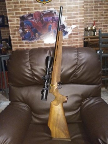 saludos

cambio rifle WEIHRAUCH HW 66 cal. 222 remington + visor C-MORE 2-20x44 (mildot) todo pràcticamente 12