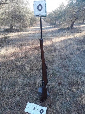 Bueno...empezaré con una perogrullada.No todos los balines valen para cada cañón,conviene probar vários.Esto 01