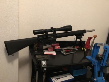 Plataforma Ar 15
Absolutamente nuevo, compre unas 8 o 10 cajas de balas con él y todavía me quedan 6, 12