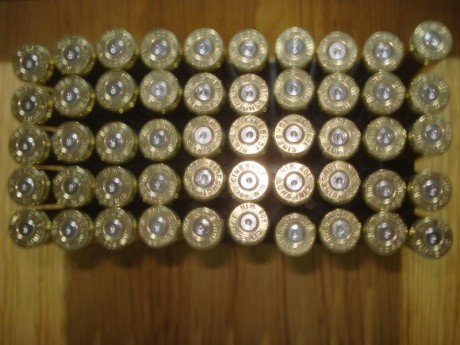 Hola,

Vendo 300 vainas Cineshot y DAG by RWS con un solo tiro, pulidas en Tumbler más 100 puntas Nosler 02