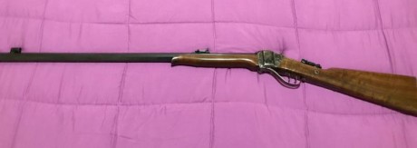 Cambio o vendo rifle tipo Sharp calibre 45LC por rifle Sharp o Rolling block en calibre 45-70, ajustando 02