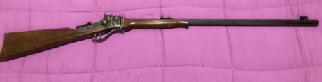 Cambio o vendo rifle tipo Sharp calibre 45LC por rifle Sharp o Rolling block en calibre 45-70, ajustando 01