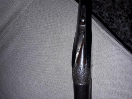 Hola tengo una sarasqueta que por lo que me han dicho es la primera que se hizo con seguro.
Me gustaría 11