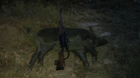 Estan empezando a llegar a mi pais puntas monoliticas de cobre, que tal son para la caza, en mi caso jabali 11