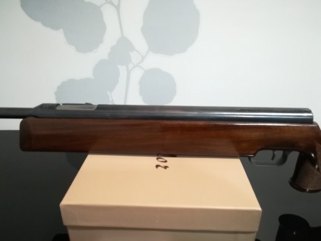 Tengo en mente un proyecto nuevo y necesito hacer sitio por lo que pongo en venta esta magnífica carabina. 11