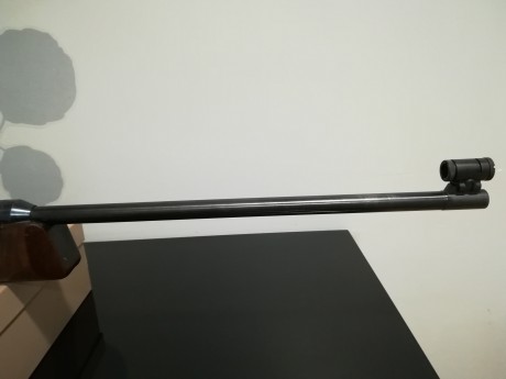 Tengo en mente un proyecto nuevo y necesito hacer sitio por lo que pongo en venta esta magnífica carabina. 20