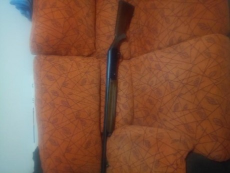 Se vende semiautomatica. Bien cuidada. Recien revisada. 230 € tkf 646182829 00