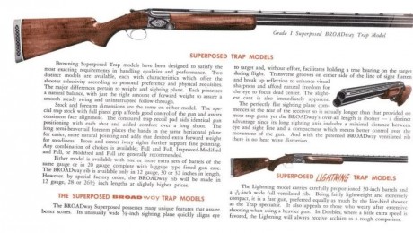 Buenas tardes:
He guiado a mi nombre por fallecimiento de mi amigo una superpuesta Browning FN de 1 y 110