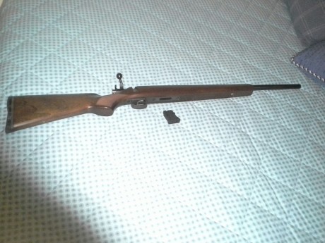 Al tema un amigo del club vende una cz 452 zkm del 22 esta en perfecto estado y muy bien cuidada hace 00