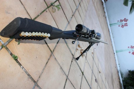 Buenas tardes, vendo Remington 770 en calibre 7mm RM con visor Bushnell 3-9x42 y cargador extraíble.
El 01