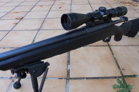 Buenas tardes, vendo Remington 770 en calibre 7mm RM con visor Bushnell 3-9x42 y cargador extraíble.
El 21