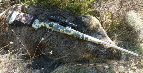 Que visor de batida me aconsejariais para montar en mi sako av. Buscaba algo entre 600 y 900 mas o menos 22