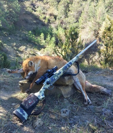 Que visor de batida me aconsejariais para montar en mi sako av. Buscaba algo entre 600 y 900 mas o menos 21