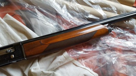 vendo repetidora beretta 301, cañon de 3 estrellas, y 70 cm.... precio 350 euros... negociables 31
