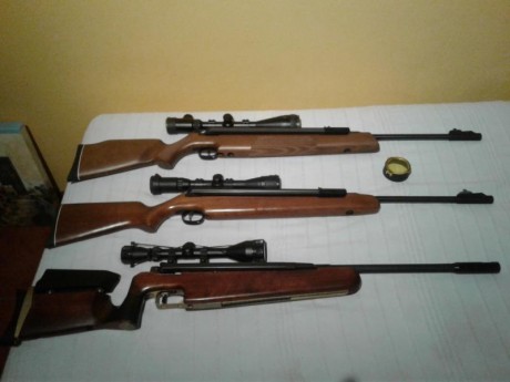Hola estimados compañeros, como indica mi nick, soy un apasionado de las carabinas diana,  pues bien, 00