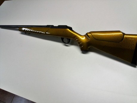 Vendo Carabina Sako Quad  Heavy barrel, precisa y muy bien cuidada, tendra unos 1000 disparos, regalo 10