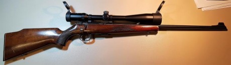 Cambio Carabina 22 Anschutz 1415/1416 por carabina Ruger 10/22

Lleva disparador con pelo tipo doble gatillo 00