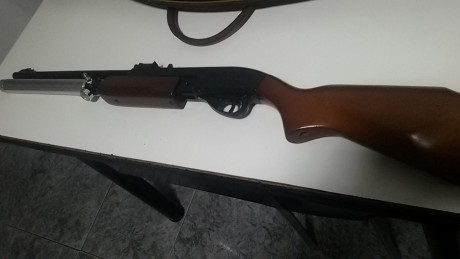 Vendo una Gamo 1200 pasada A PCP PRECIO 250€
interesados se puede dar más detalles y fotos por wasshap 01