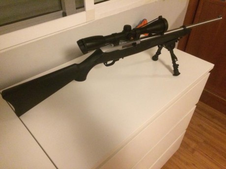 Vendo Ruger 10/22 en acero inoxidable. En estado inmaculado, muy pocos disparos y ni un solo rasguño. 02