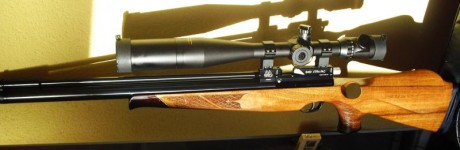 Hola buenos dias a todos.Vendo mi Air arms ajustada y montada por J.Serrano,con cañon Lothar Walther grado 70