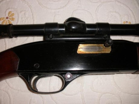 Cambio escopeta SARASQUETA paralela, cal. 12, expulsores automáticos, impecable + carabina WINCHESTER 01