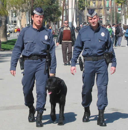¿Alguien ha visto el programa de anoche?. Trata sobre el miedo de la gente a pasar por ciertos lugares 80