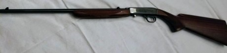 Se vende carabina Browning desmontable calibre 22.
Está en Lugo. Interesados contactar directamente con 01