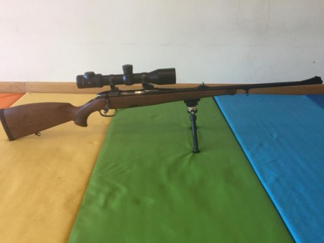 Vendo rifle Mannlicher Sbs 96 en calibre 270 win con gatillo pelo francés.
Perfecto de maderas y pavonados

Gastos 02