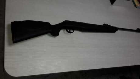Tengo una carabina diana del 4,5 magnum, y en mi localidad en el campo de tiro me ponen pegas para tirar 02