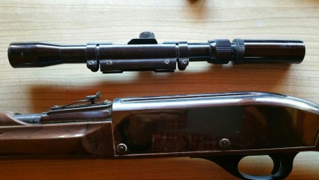 Cambio carabina Remington, del 22 L.R.Este arma es muy ligera de peso, parte de ella es de plástico.Se 01