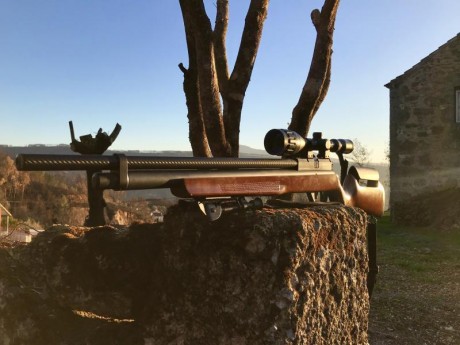 Benjamin Marauder. 25, Arma como nueva, en excelente estado,
menos de 200 tiros. Incluye 2 cargadores, 02