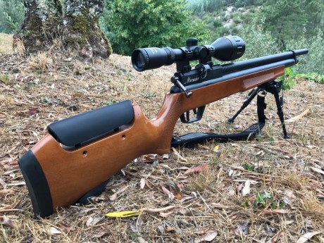 Benjamin Marauder. 25, Arma como nueva, en excelente estado,
menos de 200 tiros. Incluye 2 cargadores, 01