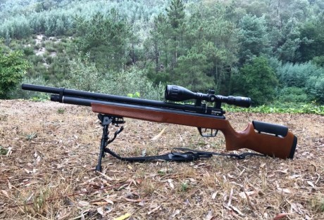 Benjamin Marauder. 25, Arma como nueva, en excelente estado,
menos de 200 tiros. Incluye 2 cargadores, 00