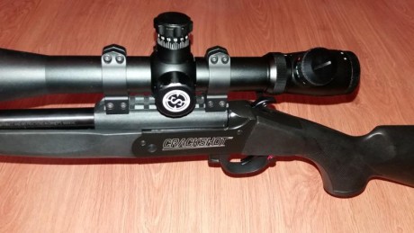 Rifle monotiro cal 17hmr como nuevo, sólo 25 disparos, tiene freno de boca y rosca homologada,  visor 00