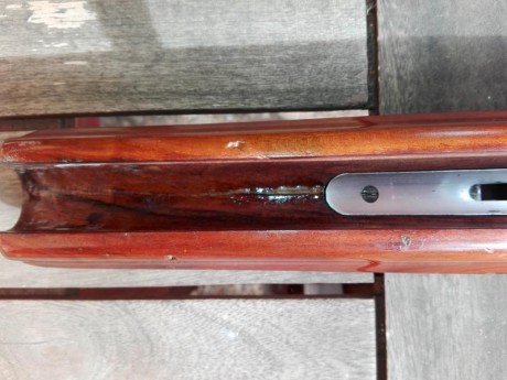 VENDO ESCOPETA DE TIRO AL PLATO . 
MARCA ARAMBERRI GUERNIKA . 
CALIBRE 12.
INCLUYO POLICHOCKS.
PRECIO 42