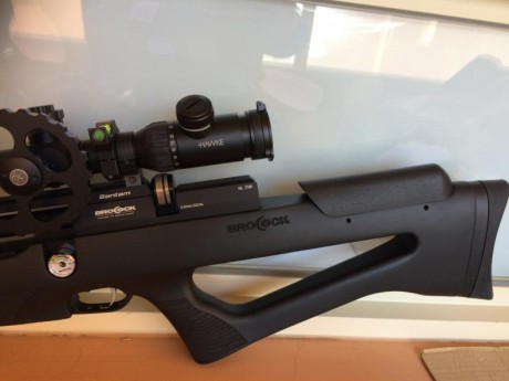 VENDO CARABINA BROCOCK (DAYSTATE) DEL CALIBRE 5,5 sintetica  DE AGOSTO DEL 2017

CARABINA POTENTE Y PRECISA 01