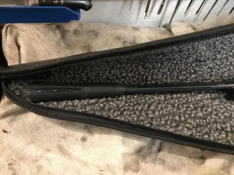 Vendo carabina GAMO WHISPER IGT. Nueva cal. 4,5
Con visor de 4x32 IR WR de retícula iluminada. Con funda 12