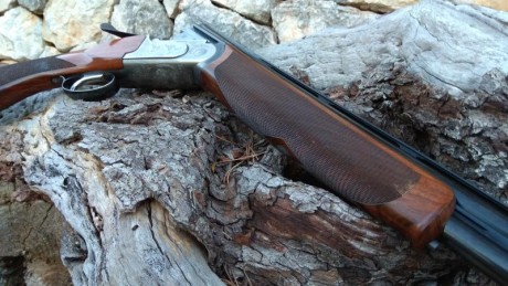Batista Rizzini mod.Aurum calibre 20/76 .
Bascula de acero. Expulsora. 
Peso 2,800kgr
Un gatillo y selector. 00