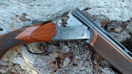 Batista Rizzini mod.Aurum calibre 20/76 .
Bascula de acero. Expulsora. 
Peso 2,800kgr
Un gatillo y selector. 11