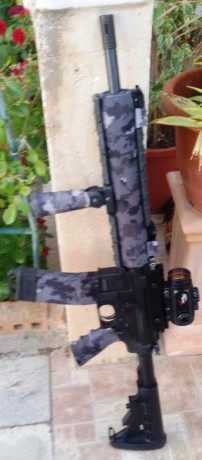 Aunque hay un hilo muy bueno sobre carabinas tácticas del 22,   https://www.armas.es/foros/rifles-y-carabinas-de-precision/muestra-tus-carabinas-tacticas-del-22-l-r-905297, 30
