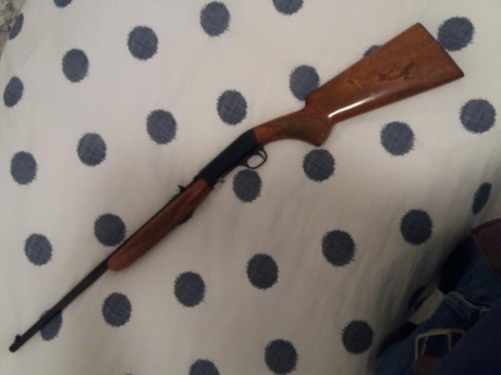 Vendo carabina browning SA 22lr.... 
es desmontable con un click y medio giro.....
se carga por el lateral 02