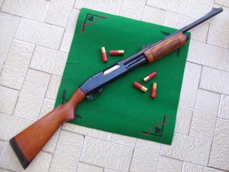 Hola a todos estoy planteándome comprar una escopeta de corredera y estas son mis tres opciones 
La remington 61