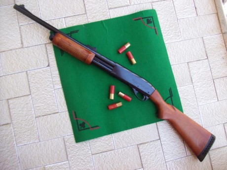 Hola a todos estoy planteándome comprar una escopeta de corredera y estas son mis tres opciones 
La remington 60