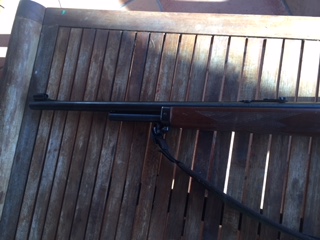 Vendo Marlin 444 SS 

 vendido   


    Gracias a los 2  interesados 00